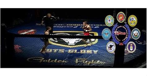 boxing in grand junction|Golden Fights Cage Wars MMA Gym .